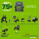 GREENWORKS® 60V Pro 42” Zero Turn Lawnmower