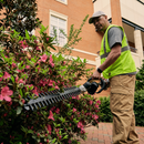 GREENWORKS® 82V Gen II Short Pole Hedge Trimmer